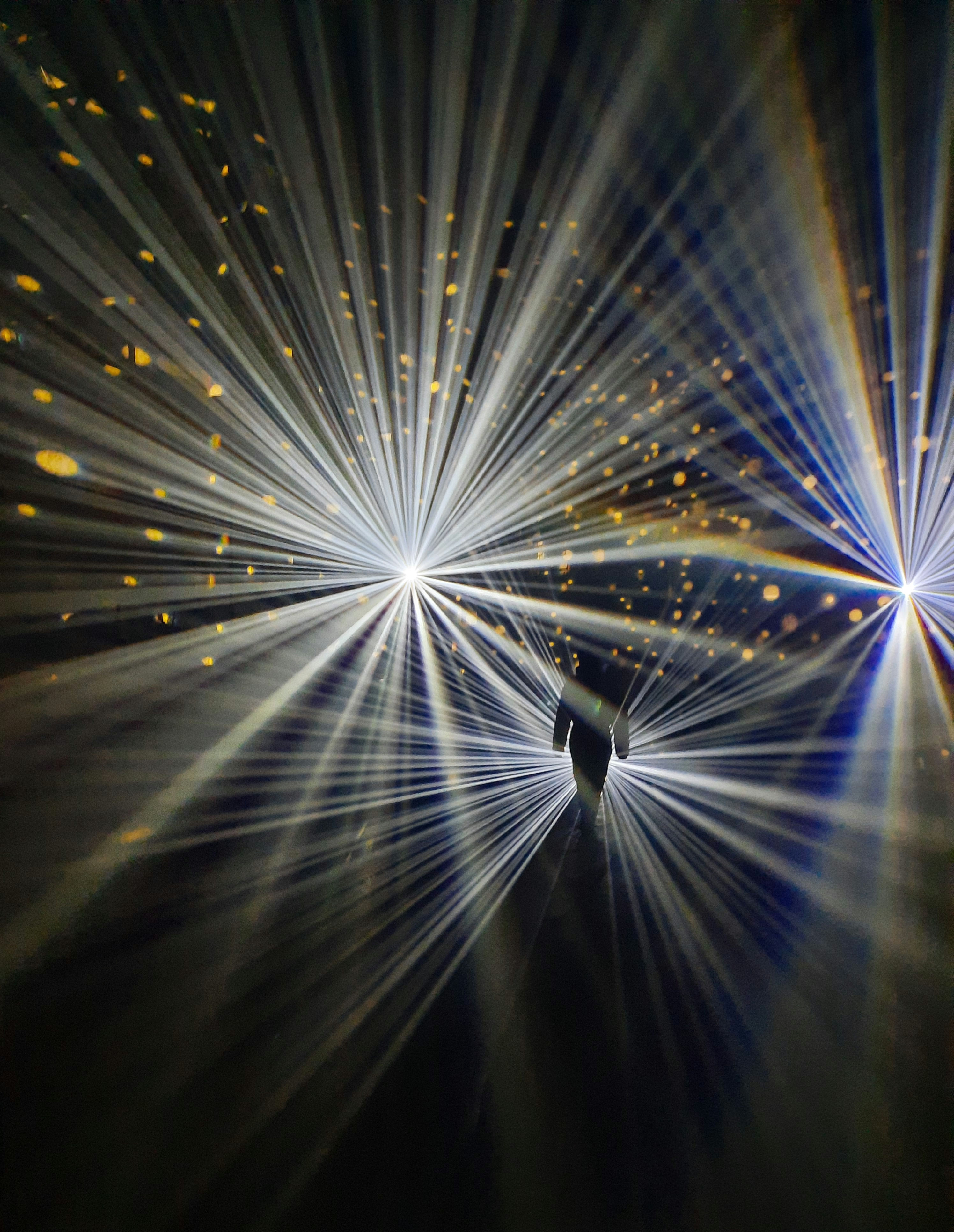 Foto del escritor: Sabina Morales Maurice