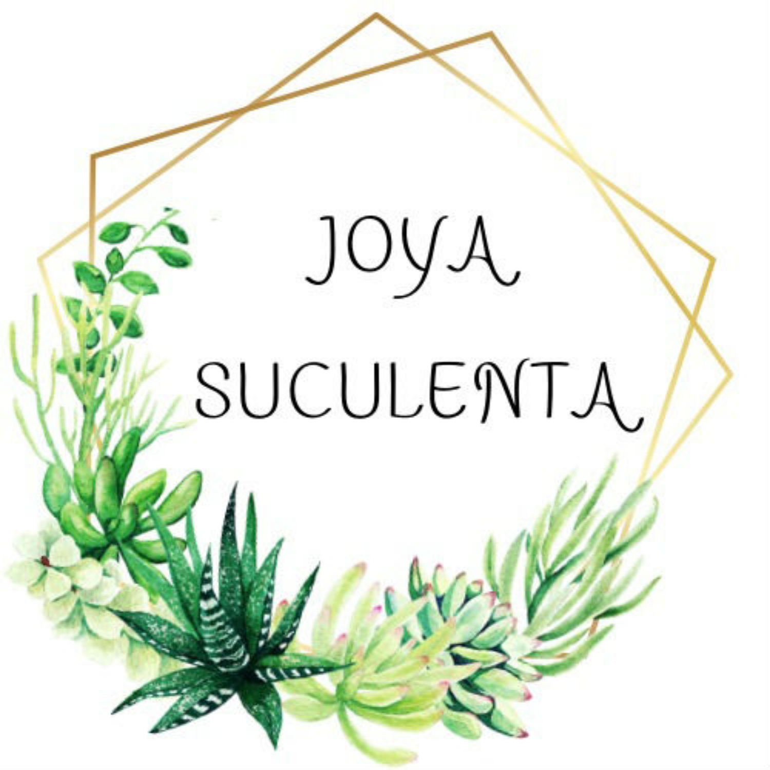 Foto del escritor: Joya Suculenta