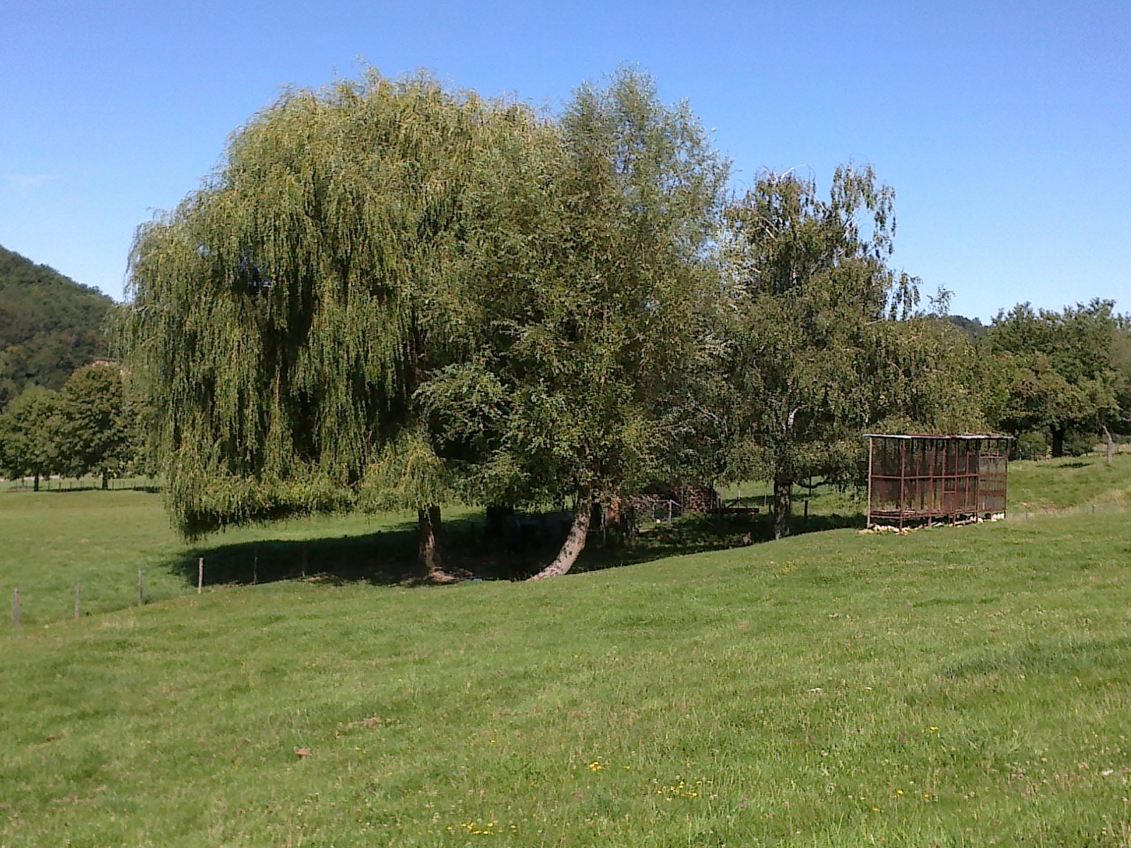 Photo du rédacteur: Béryl du Clos