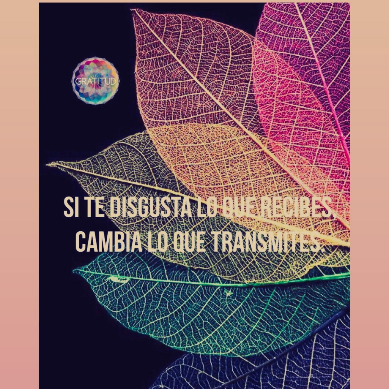 Foto del escritor: Juan Andres Espino Gamboa