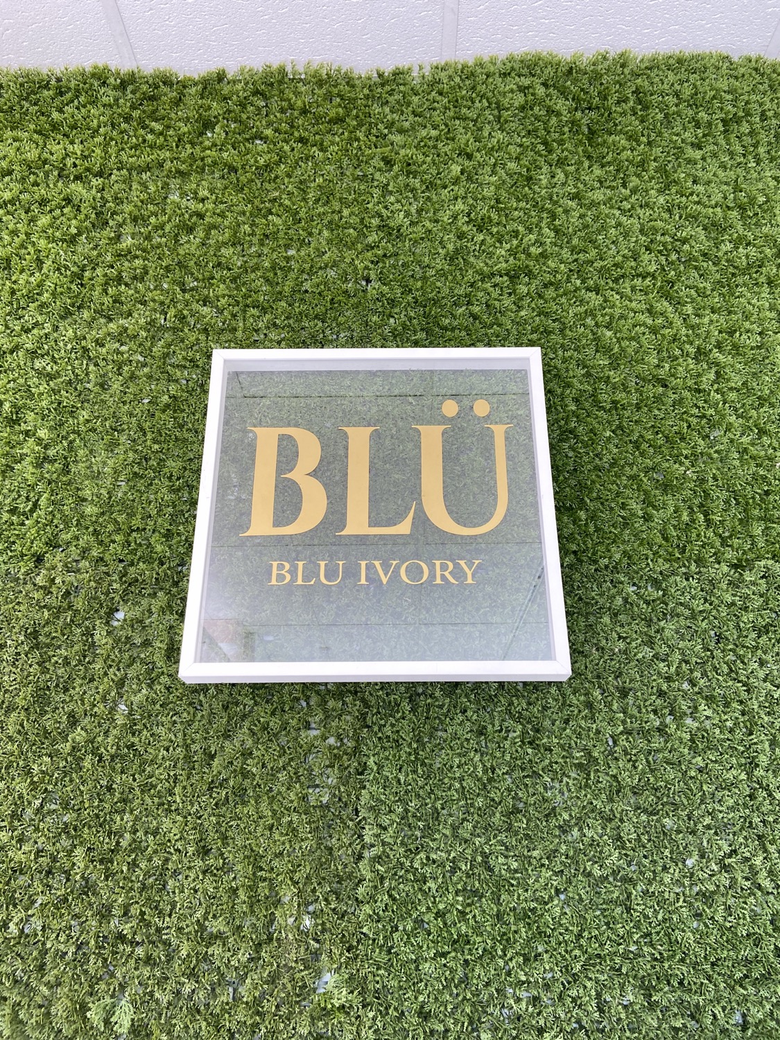 Writer: Blu Ivory Bridal