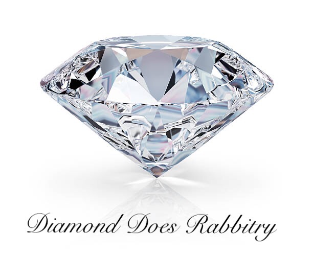 Writer: Diamond Does Rabbitry