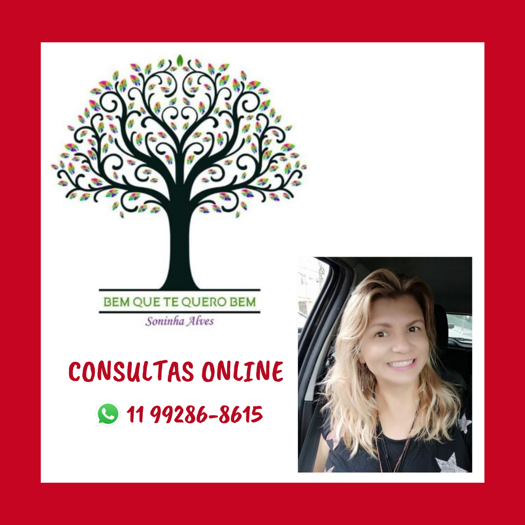 Foto do escritor: Soninha Alves