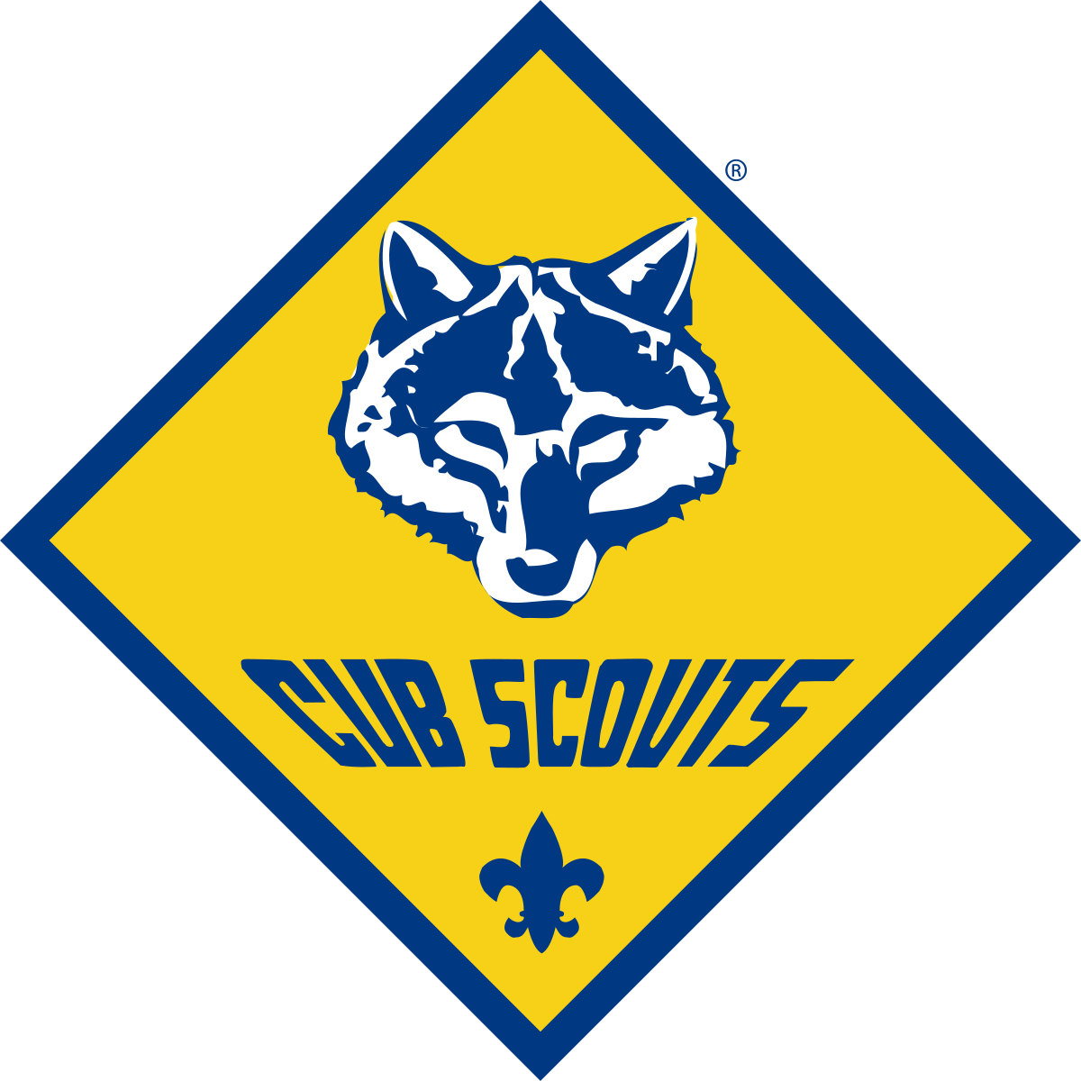 Writer: CubScout Pack812