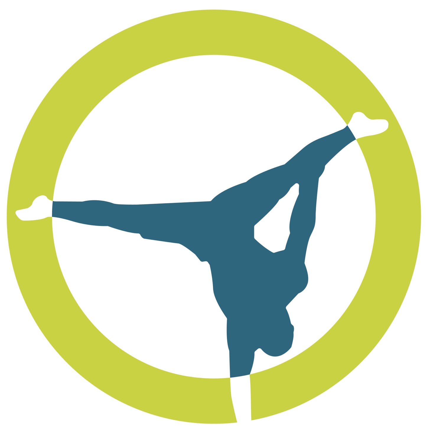 Writer: ONLINE HANDSTAND ACADEMY