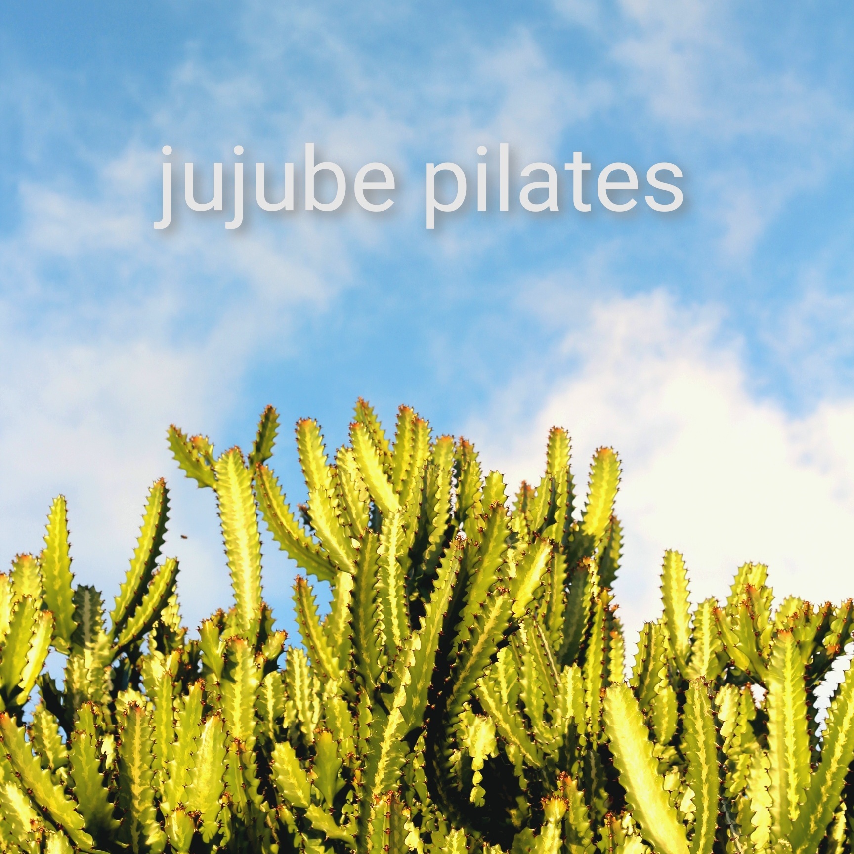 執筆者の写真: jujube Pilates