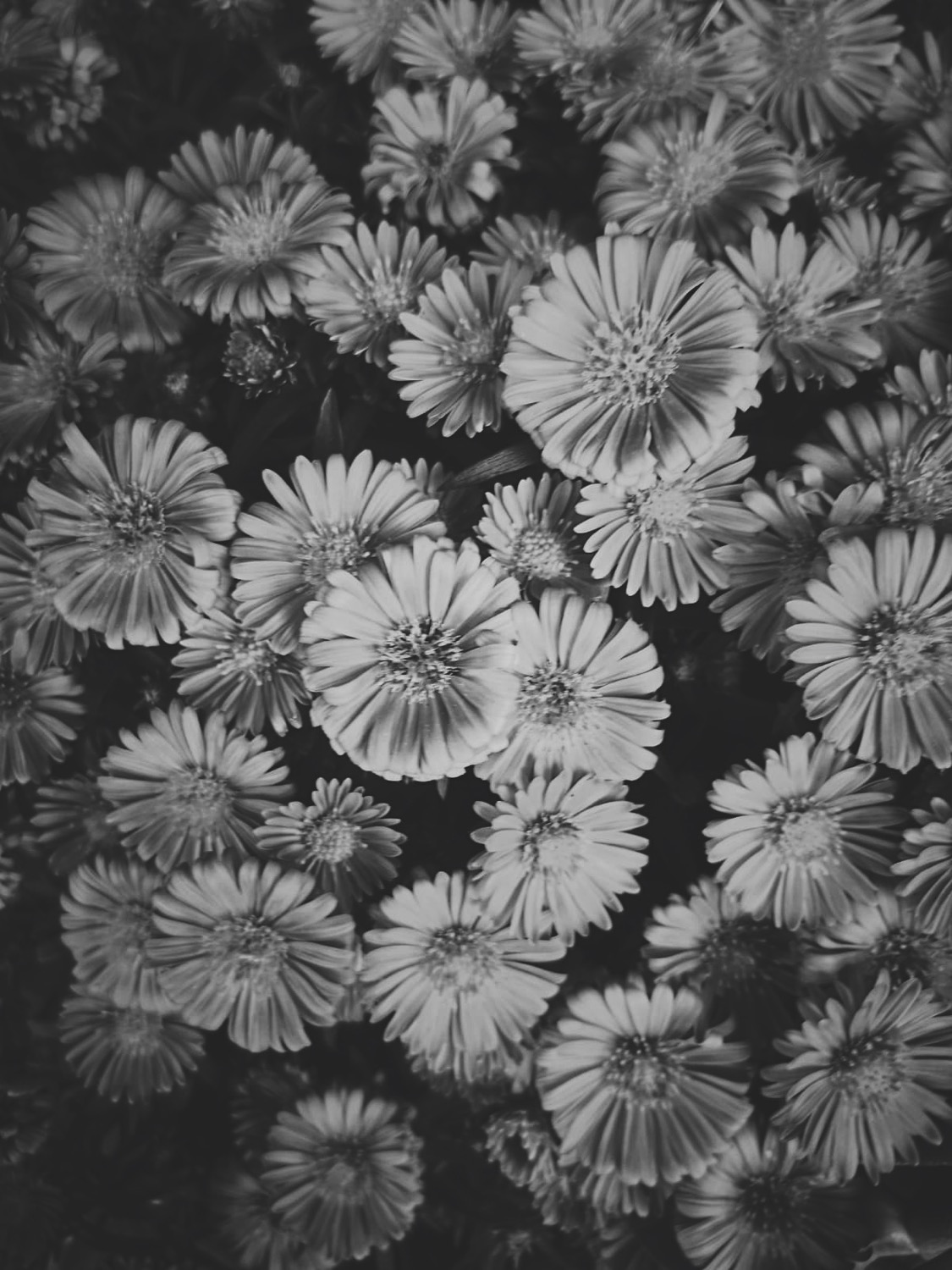 Writer: Oscar Hansen