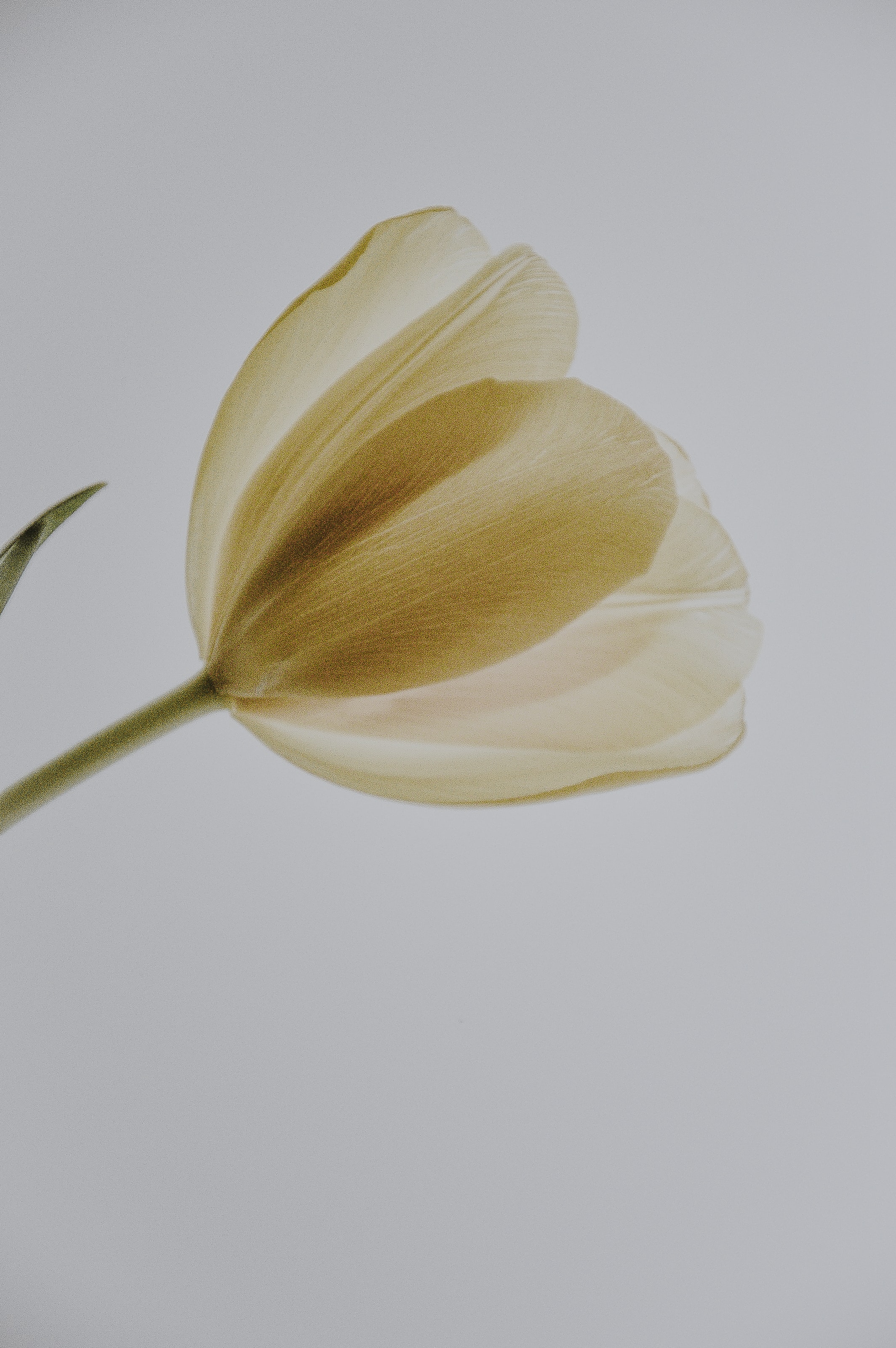 執筆者の写真: undefined