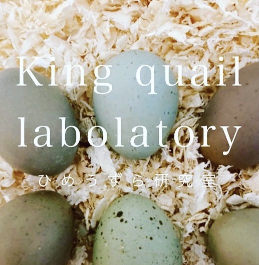 執筆者の写真: ひめうずら研究室