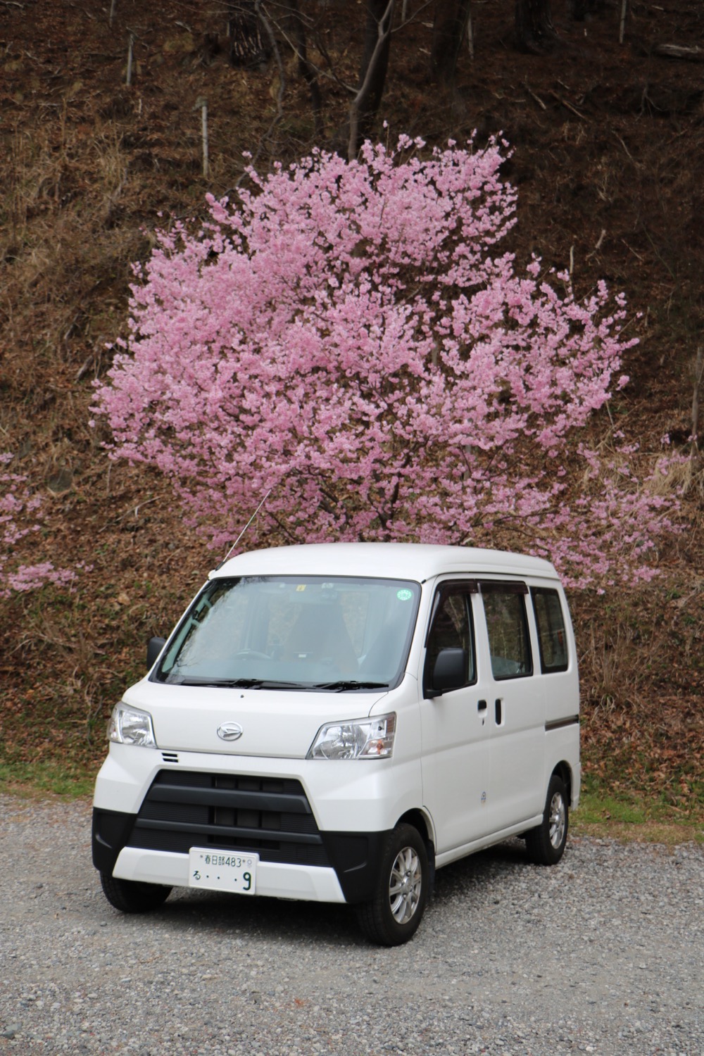 執筆者の写真: ルア9