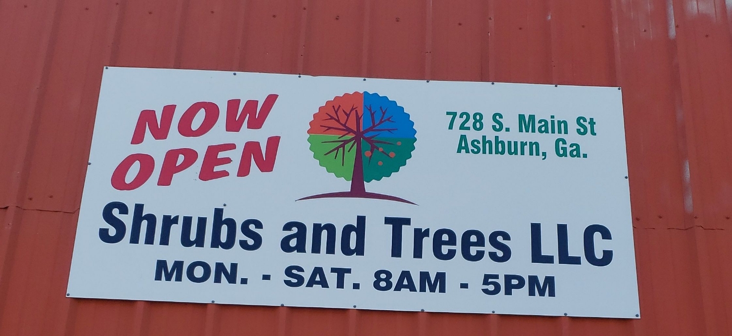 Writer: Shrubs and Trees