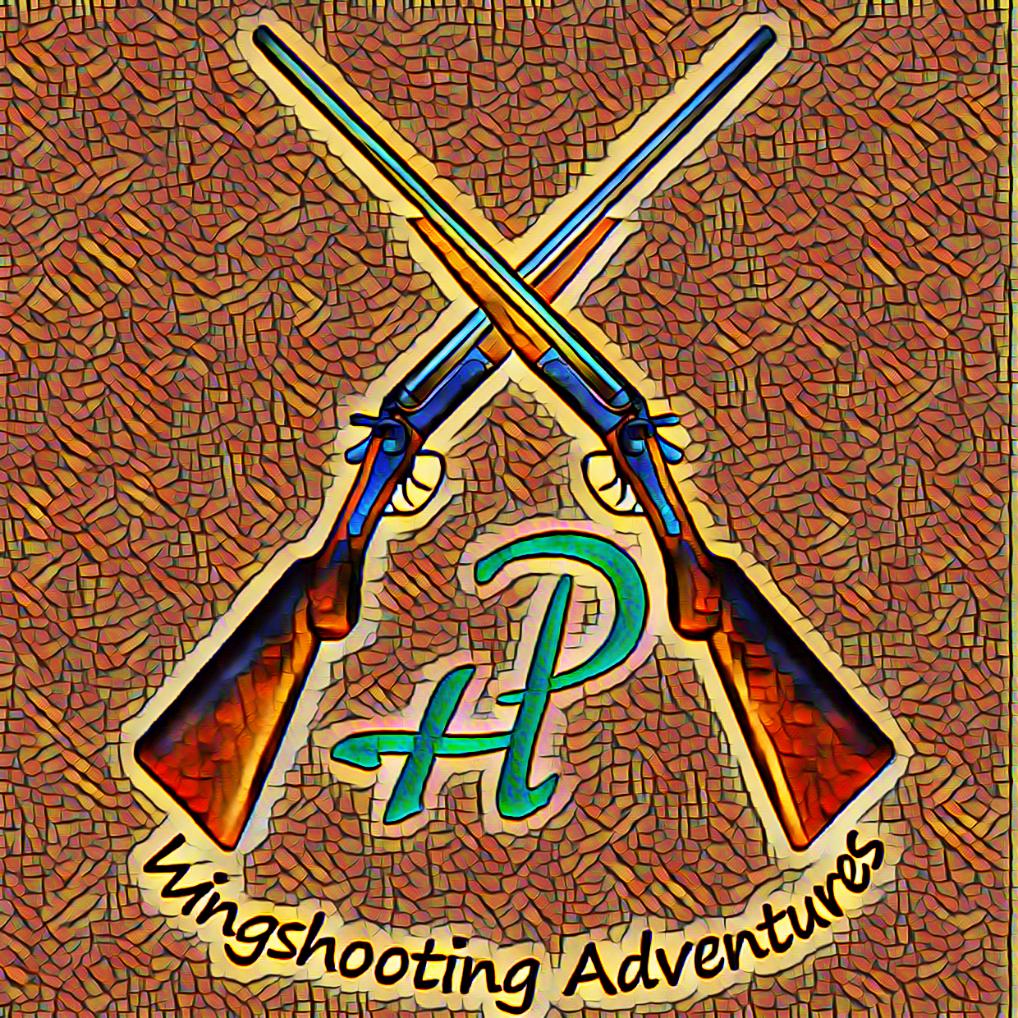 Foto del escritor: Hugo Pascuettin