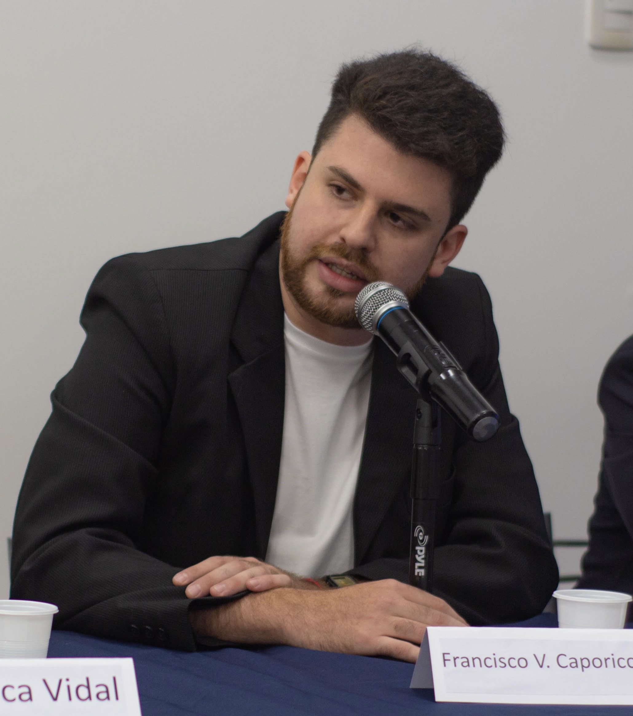 Foto del escritor: Francisco V. Caporiccio