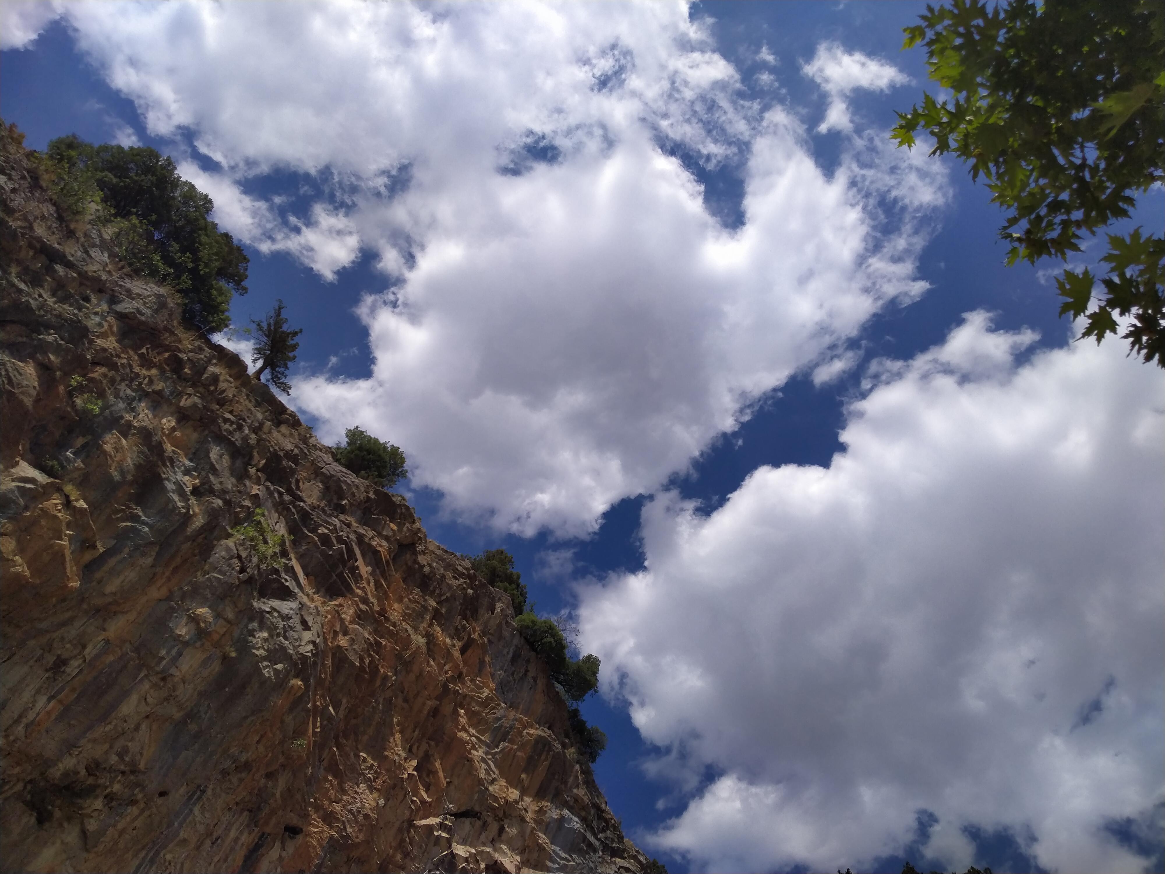 Yazarın fotoğrafı: Öze Dönüş