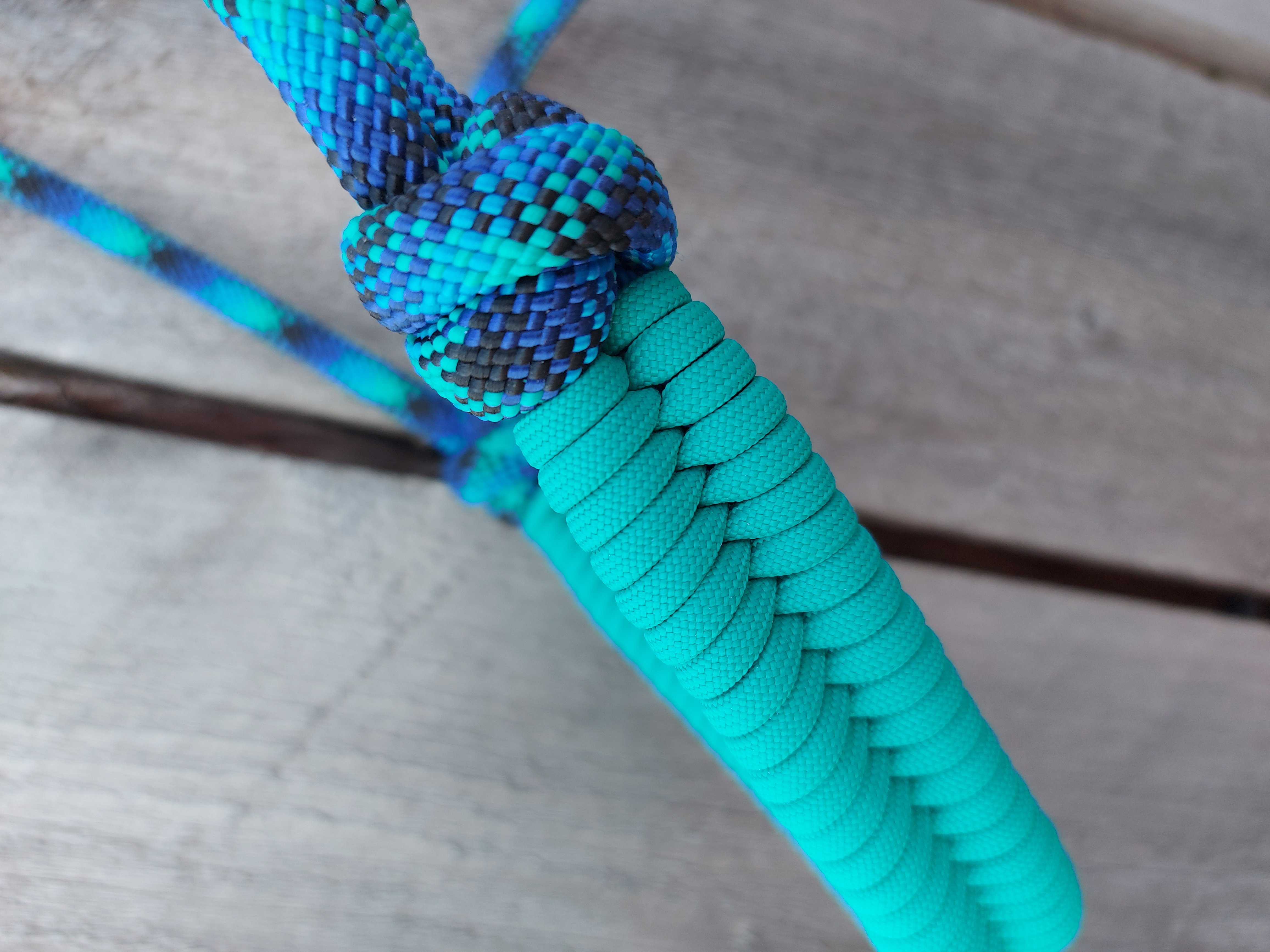 Reef with Turquoise Fishtail Noseband