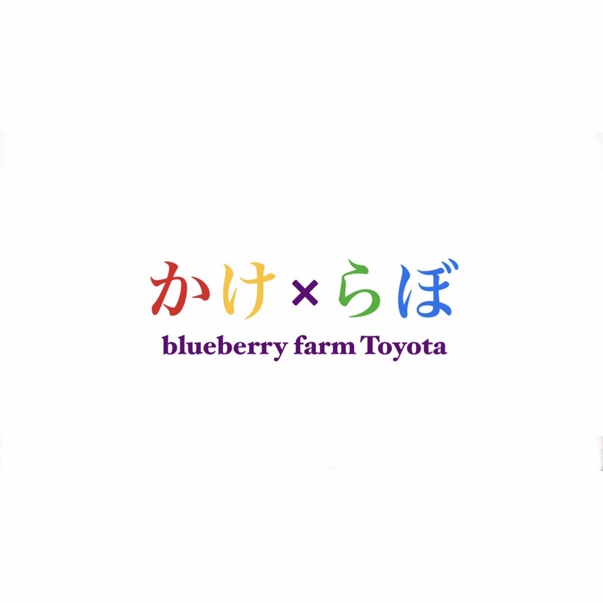 執筆者の写真: かけ×らぼ ブルーベリー狩り農園Toyota