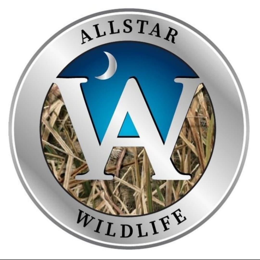 Writer: AllstarWildlifeLLC
