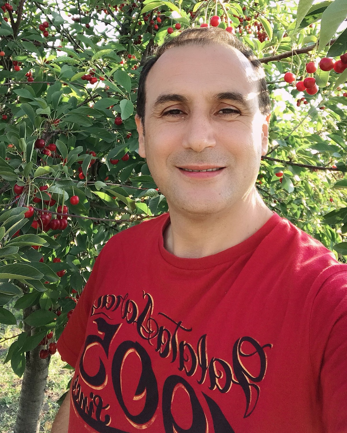 Yazarın fotoğrafı: Süleyman Altındal