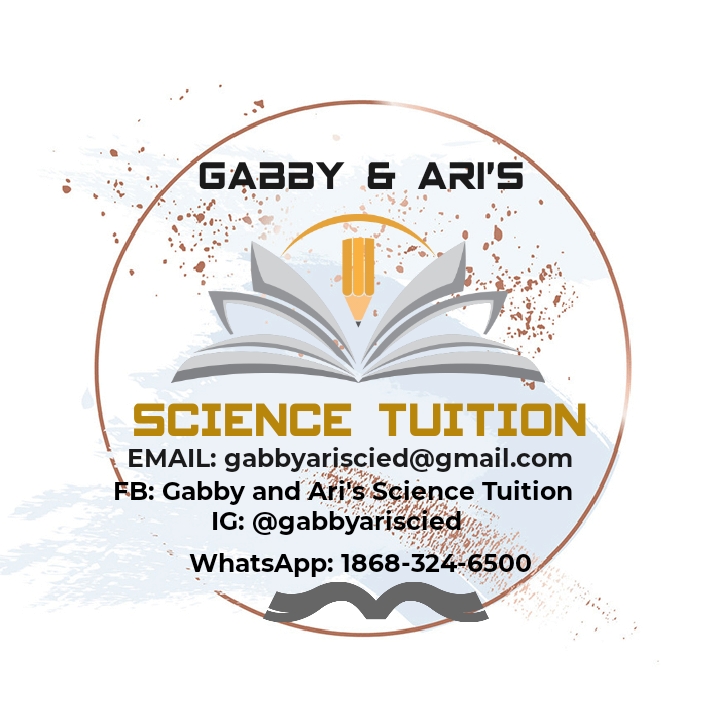 Writer: Gabby & Ari's Science Tuition null