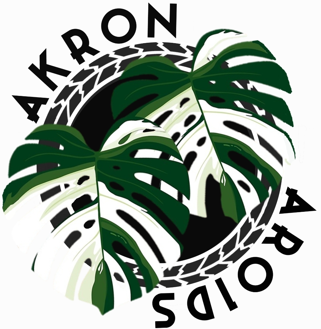 Writer: Akron Aroids