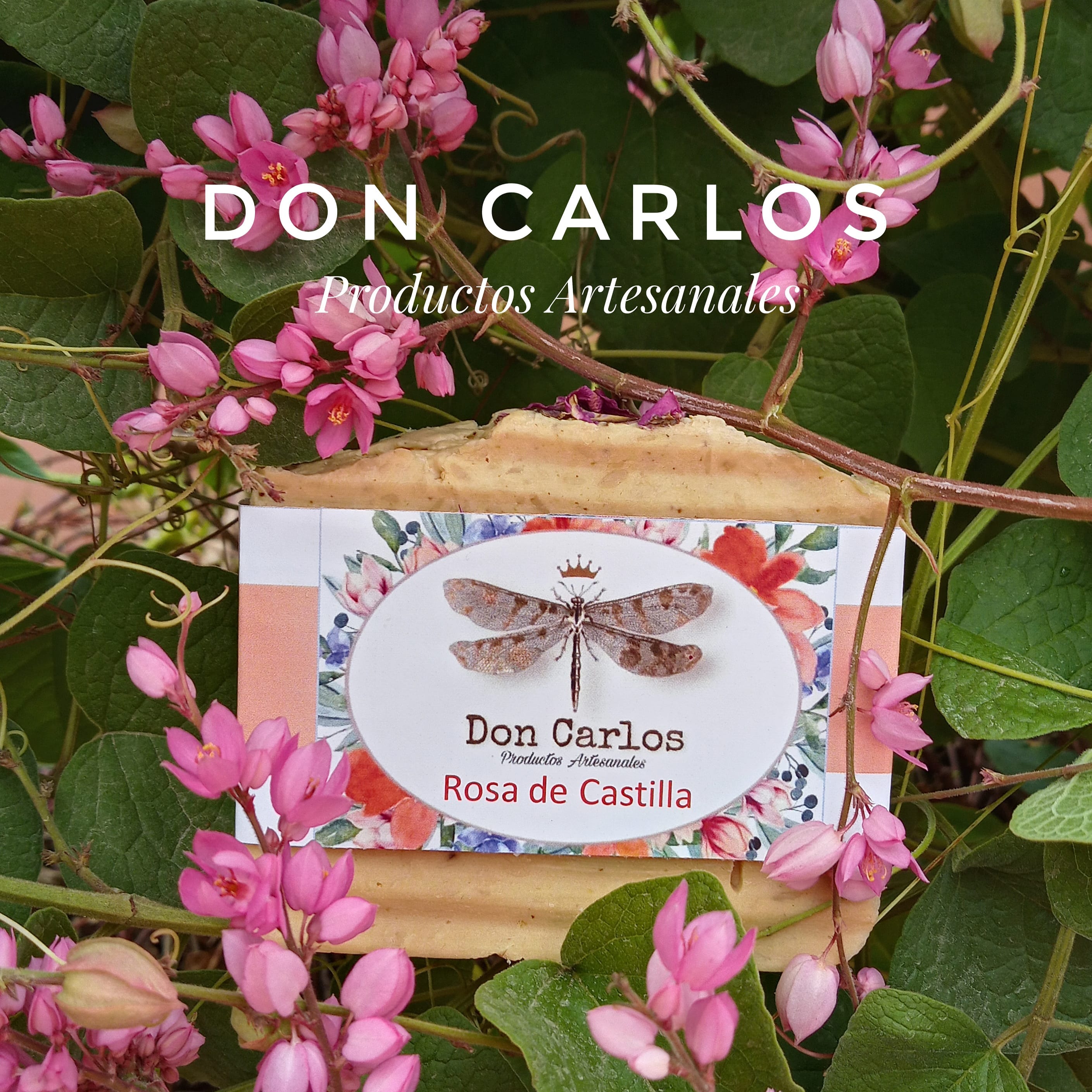 Foto del escritor: Don Carlos Artesanales Jabones