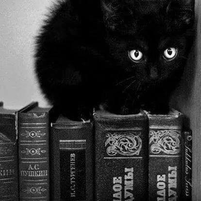 Foto do escritor: Consultor Espiritual Arabe