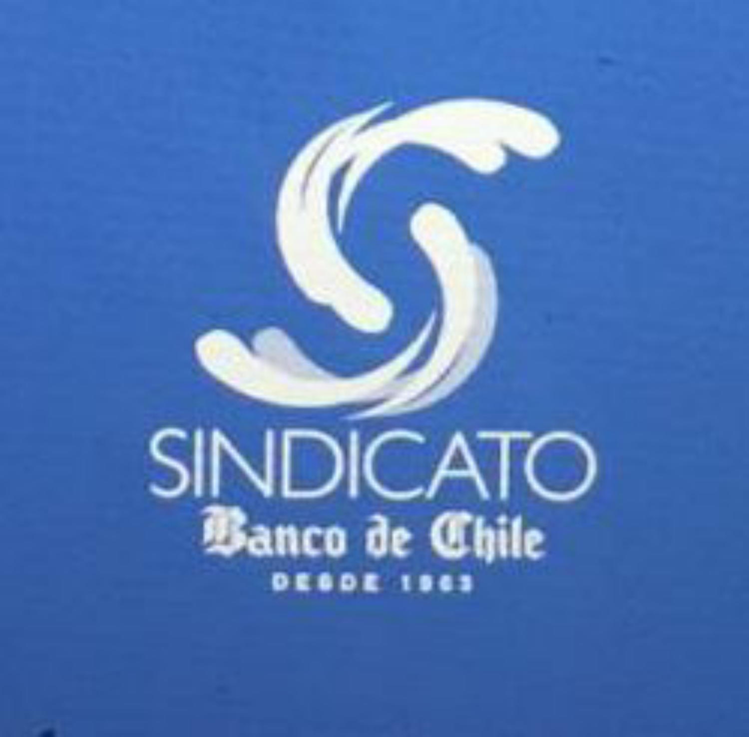 Foto del escritor: sindicatobch