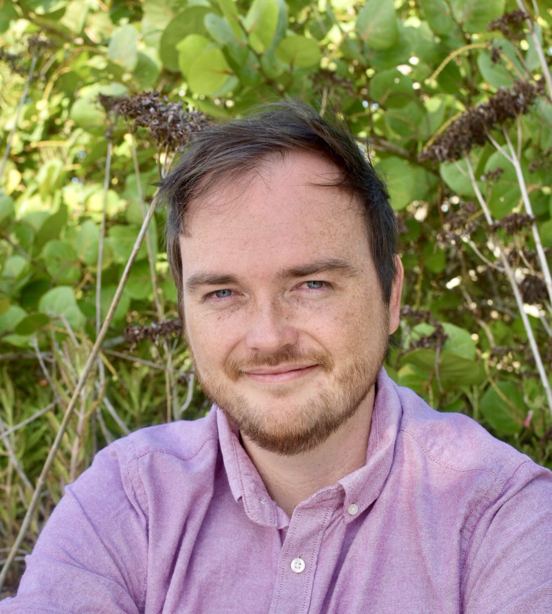 Writer: Lee Dickson
