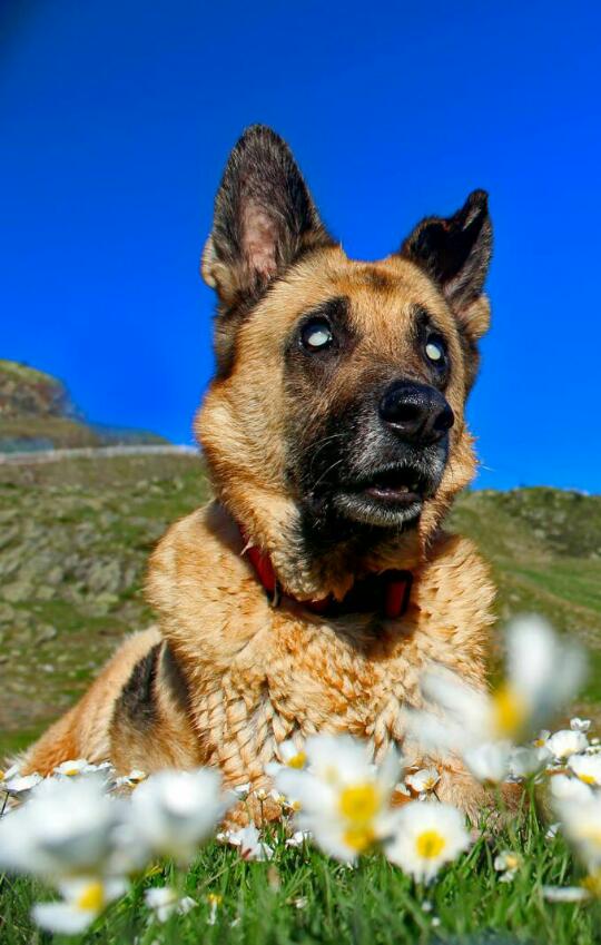 Foto del escritor: Kyla Sherpa