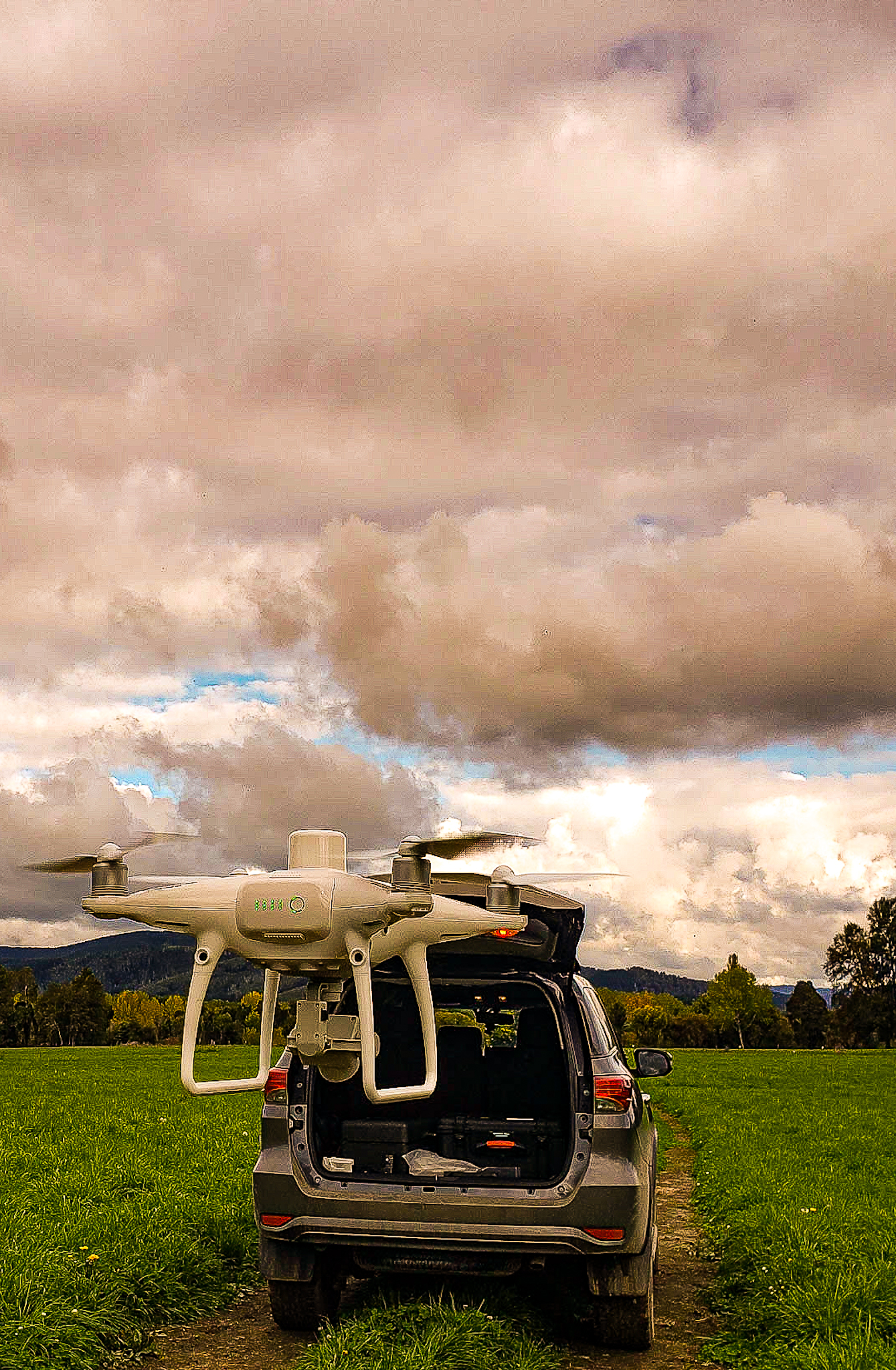 Foto del escritor: Empresas Orilla Norte