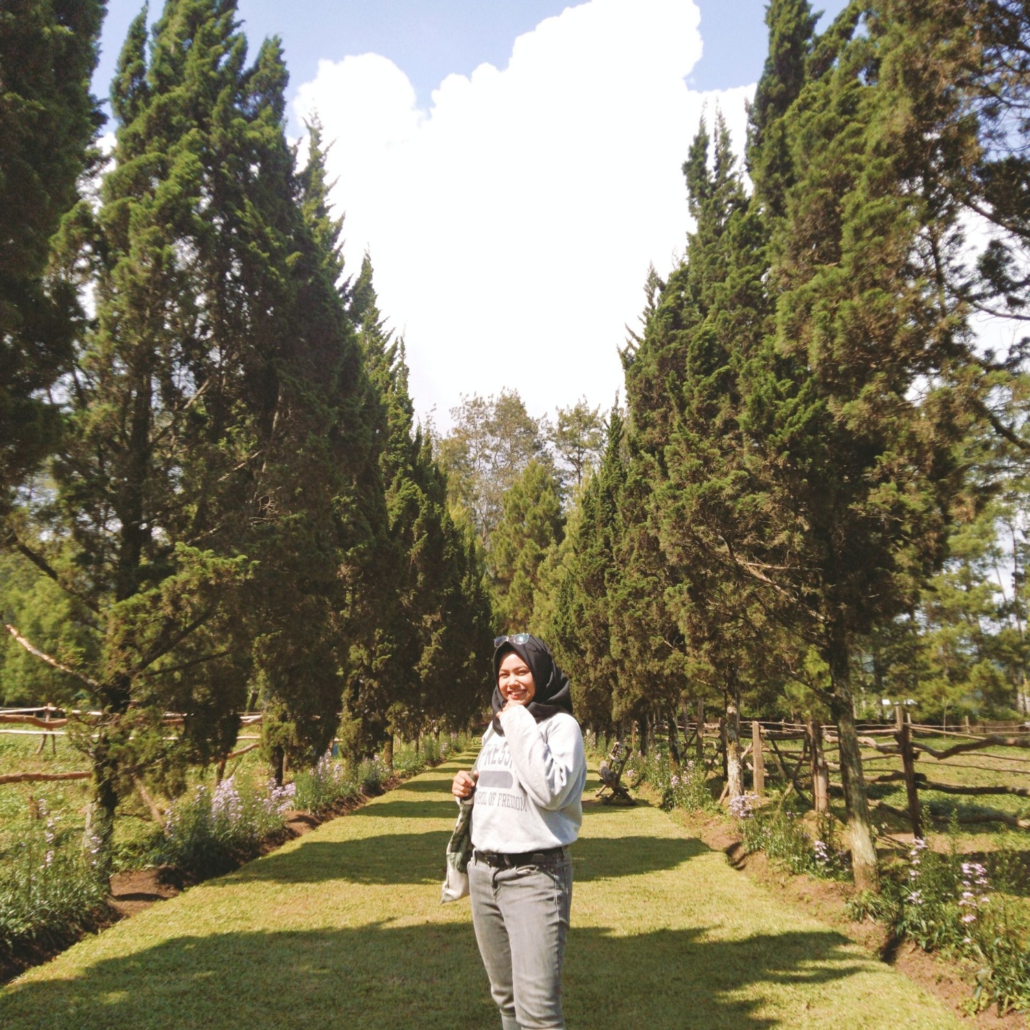 Gambar penulis: Amalia Qurrota Ayuni