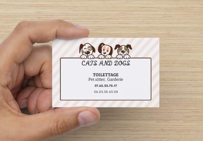 Photo du rédacteur: Catsanddogs Atelier