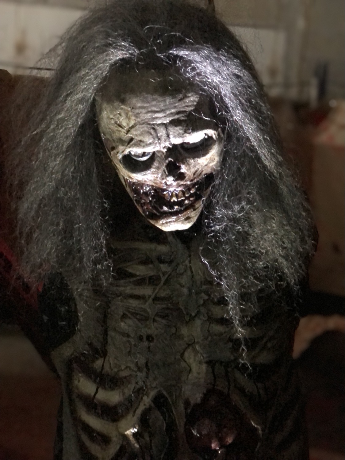Foto del escritor: monsterlandmexico