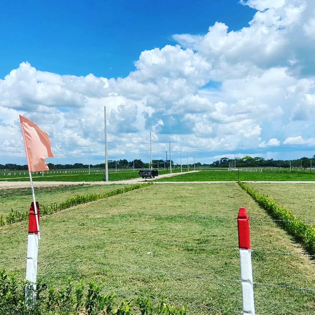 Foto del escritor: Anderson Márquez carreño