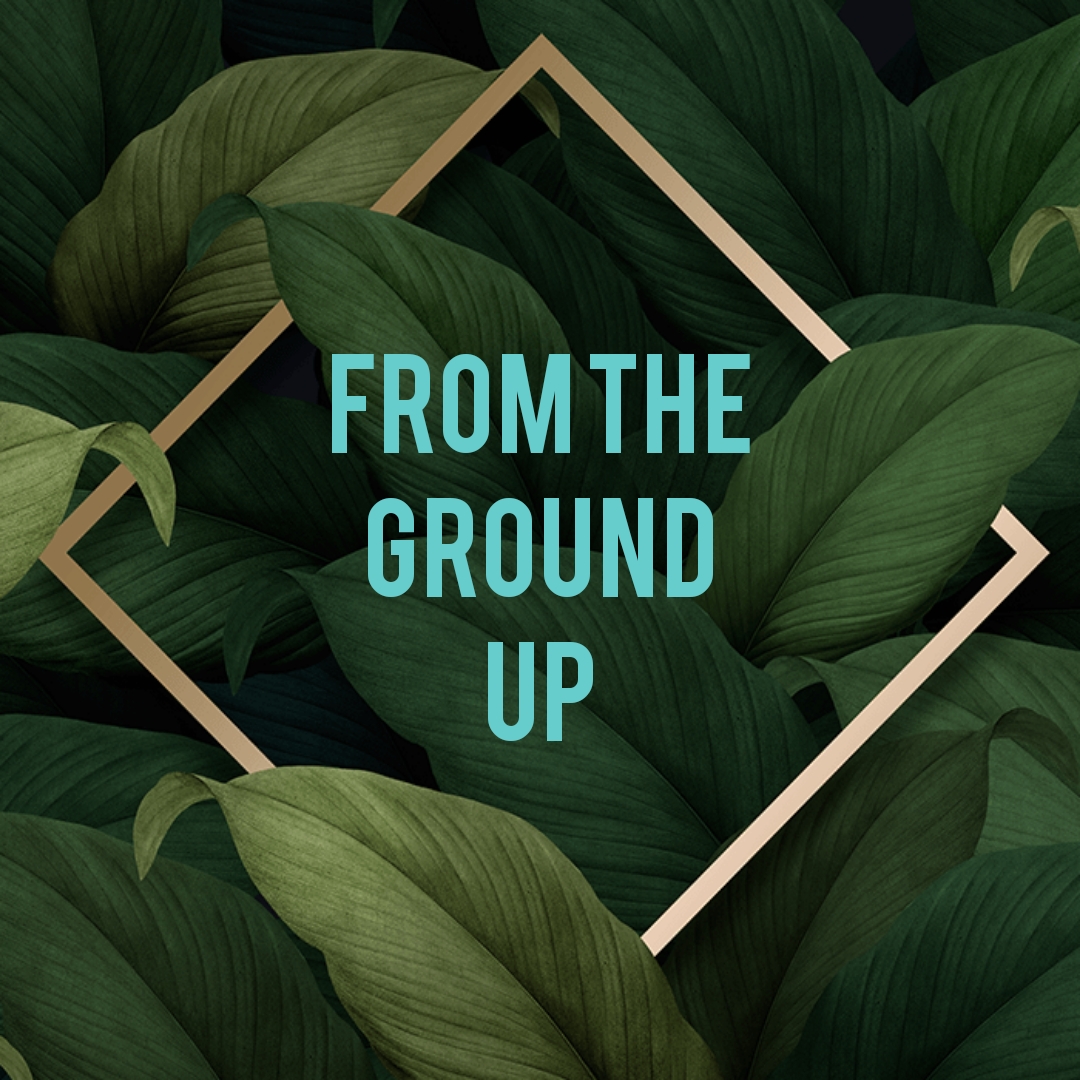 Writer: Courtney Deamer