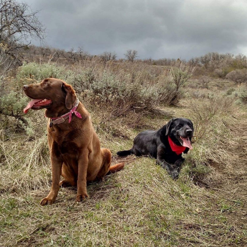 Writer: Kristin Bahr