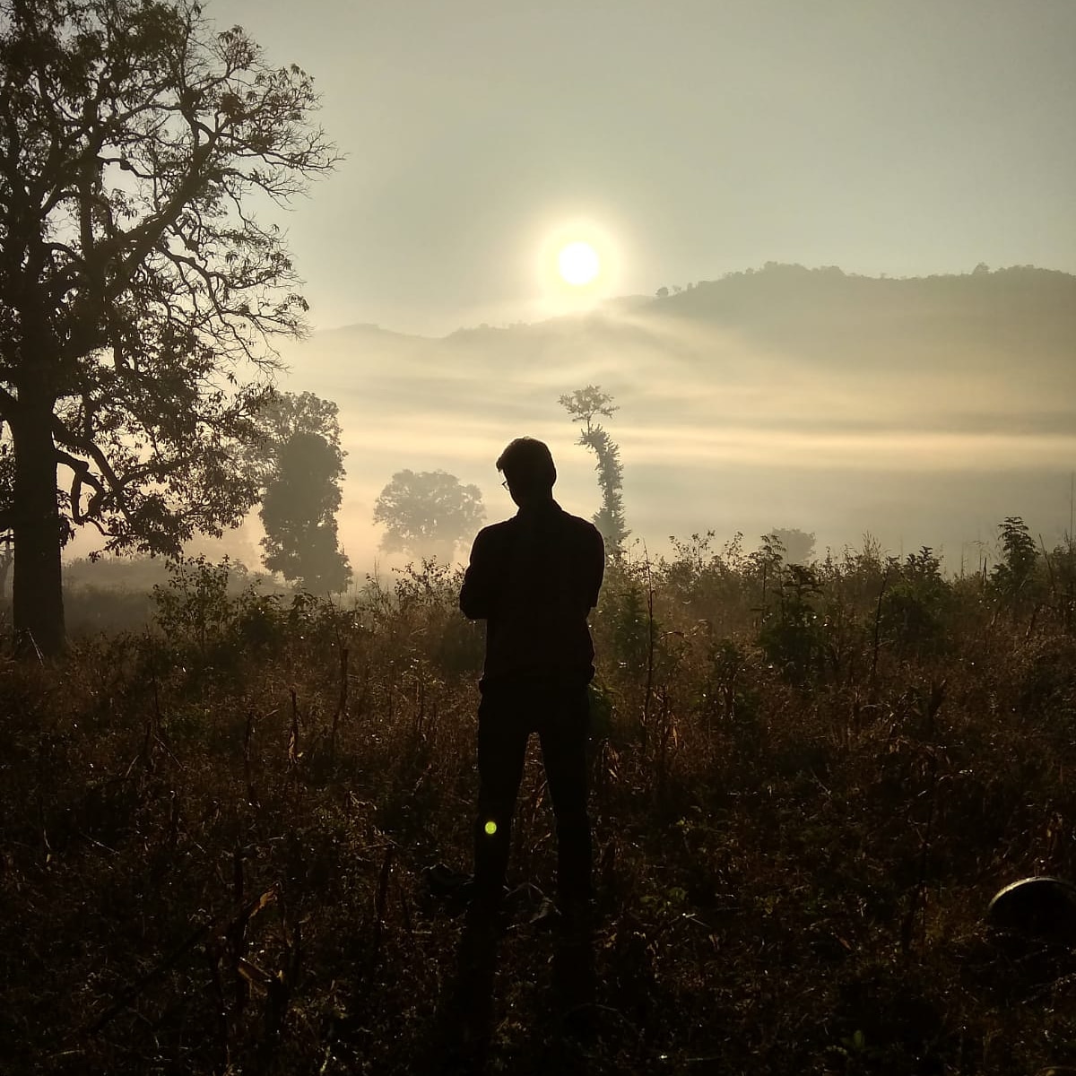 Writer: Sairam Paluri
