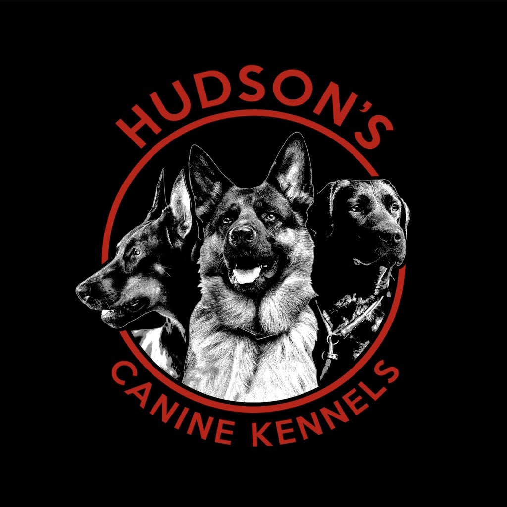 Writer: hudsonscaninekenne