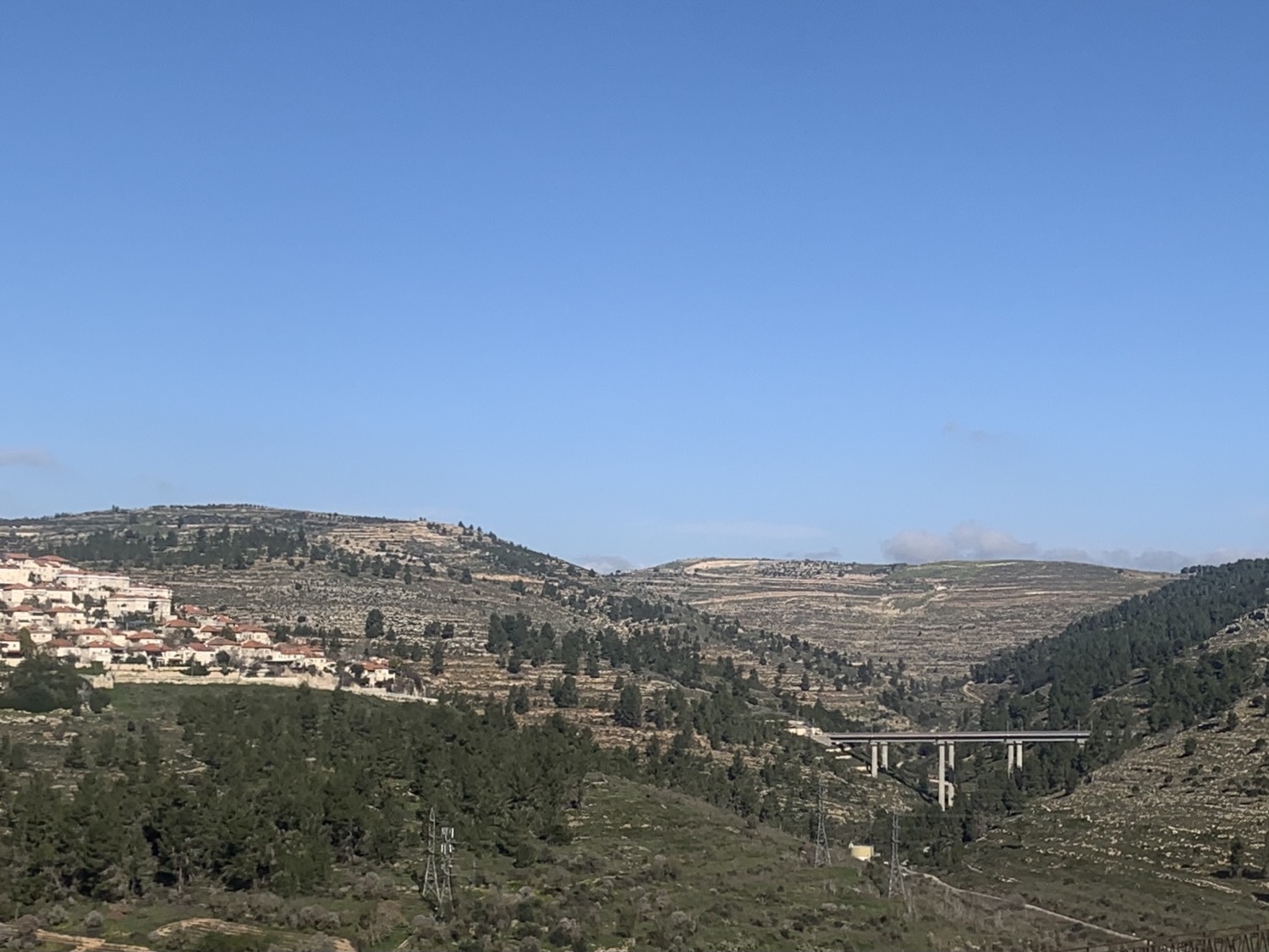 Writer: צבי הורביץ