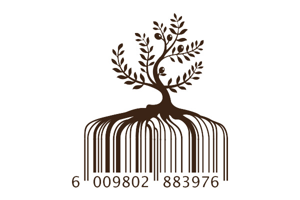 Writer: The Code