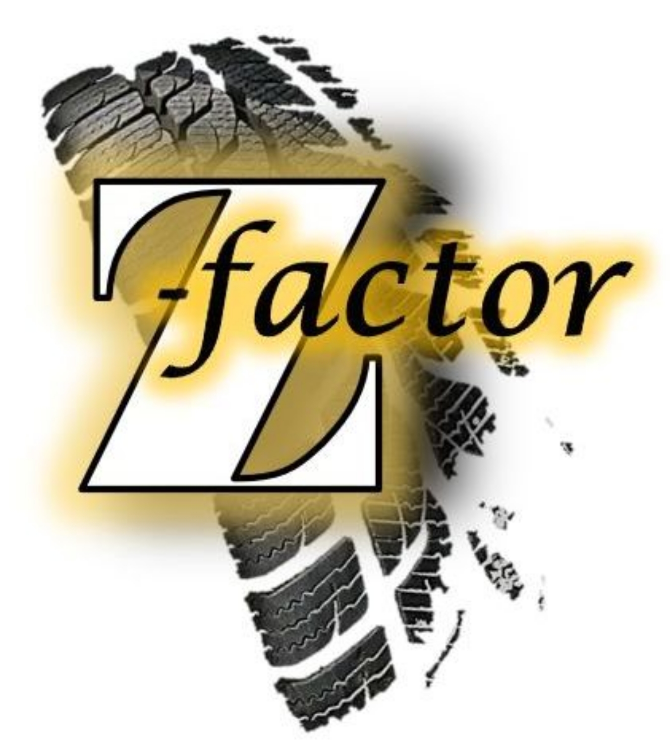 Writer: zfactorconnect .com