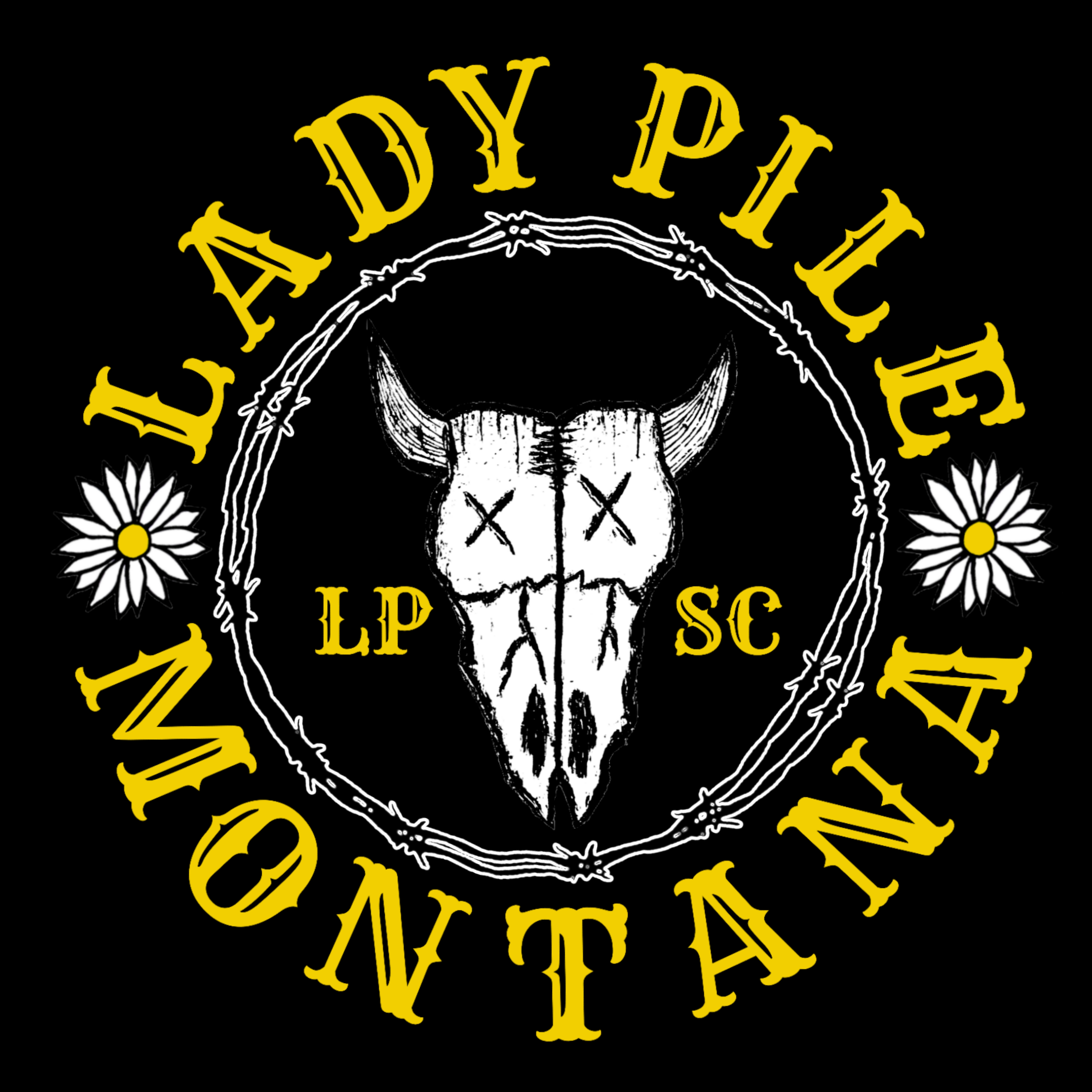 Writer: ladypilemt