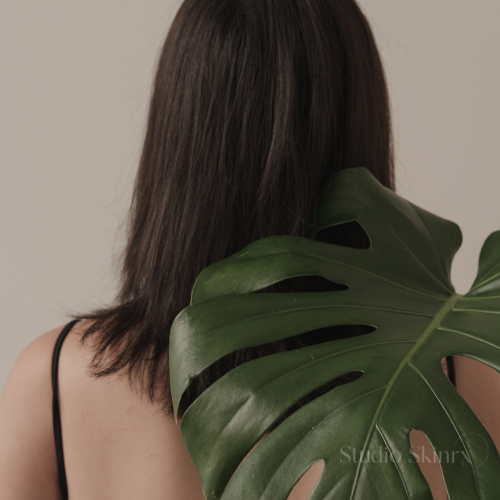 Writer: Studio Skinrx 