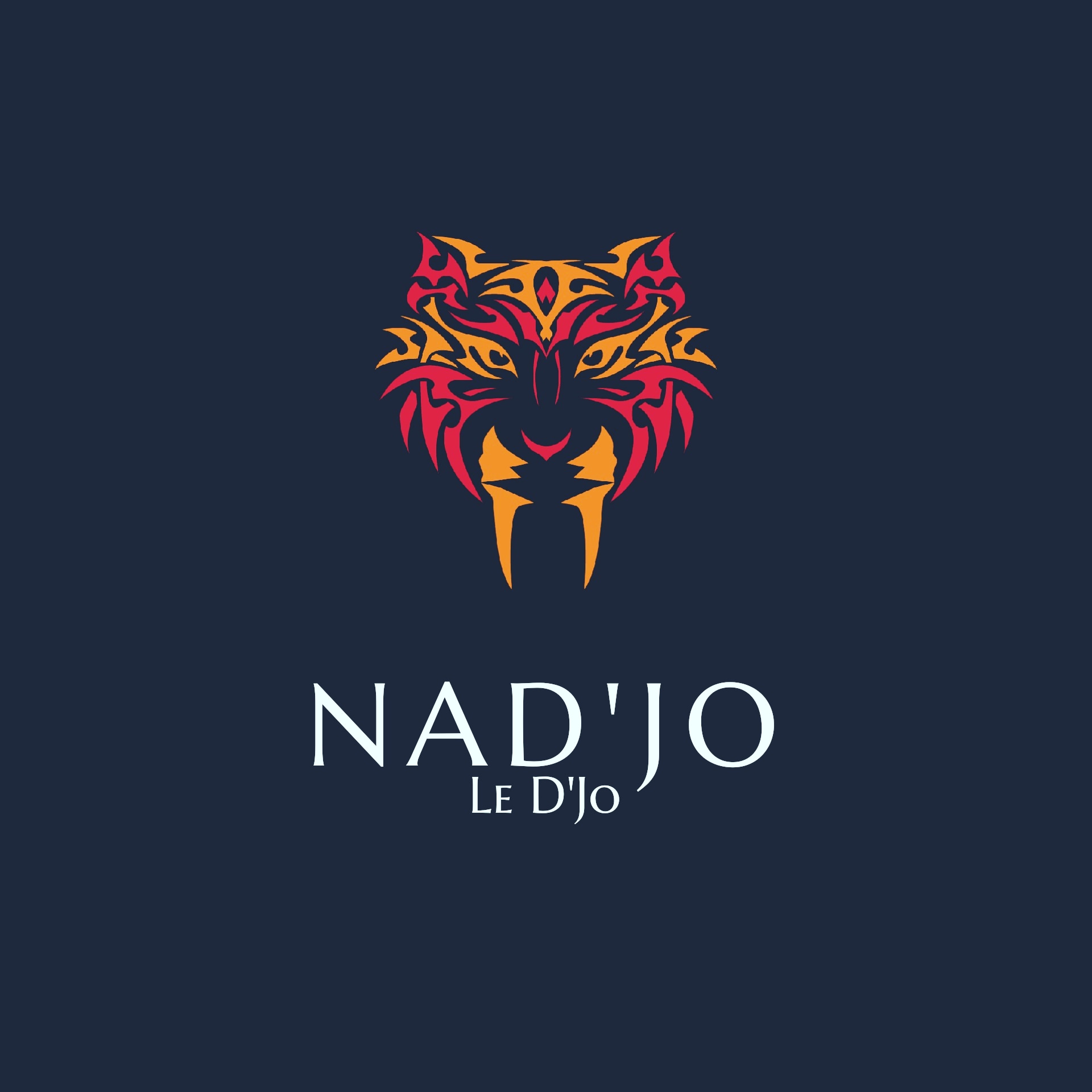 Photo du rédacteur: NAD'JO LE DJO