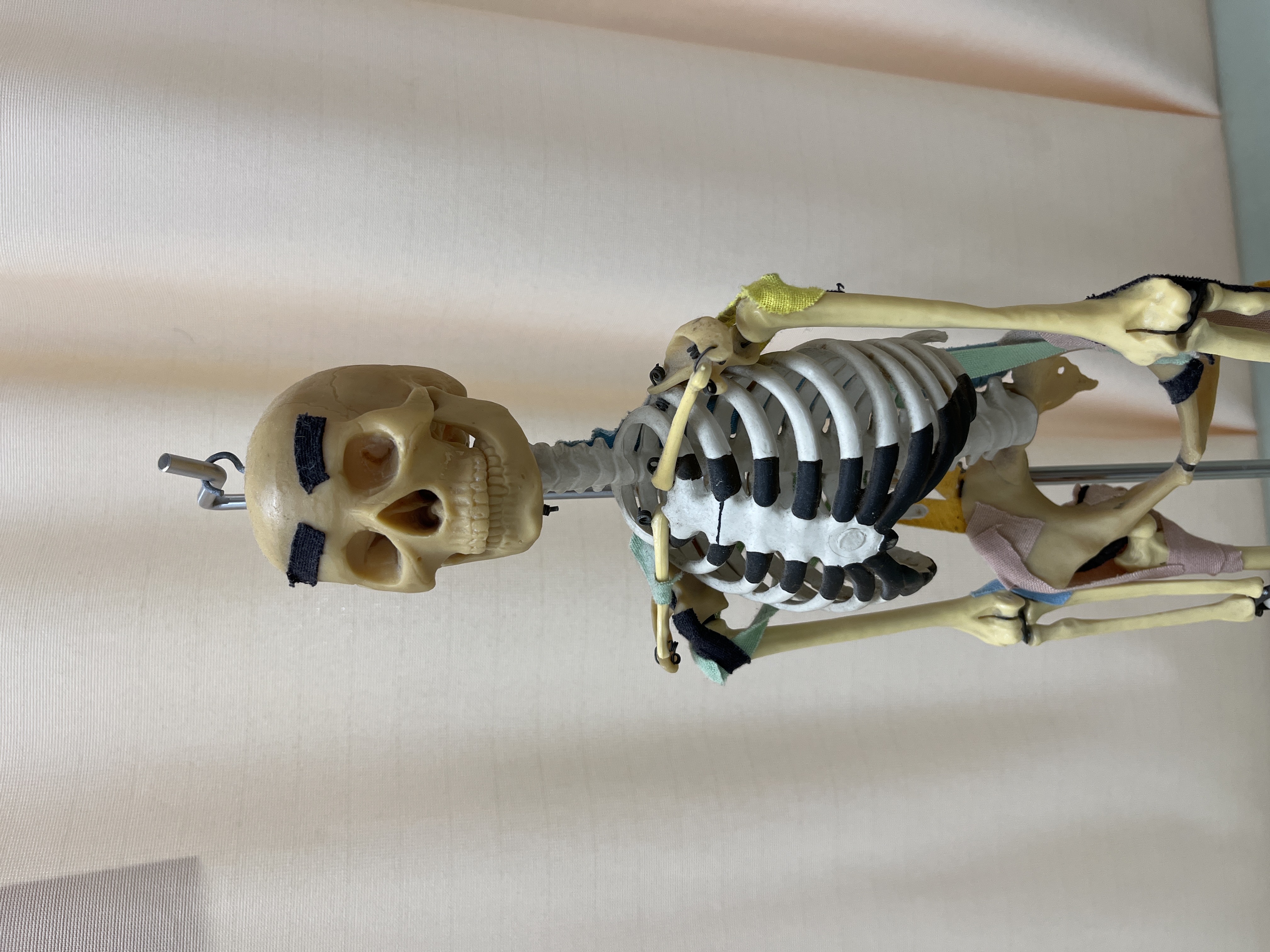 執筆者の写真: null null