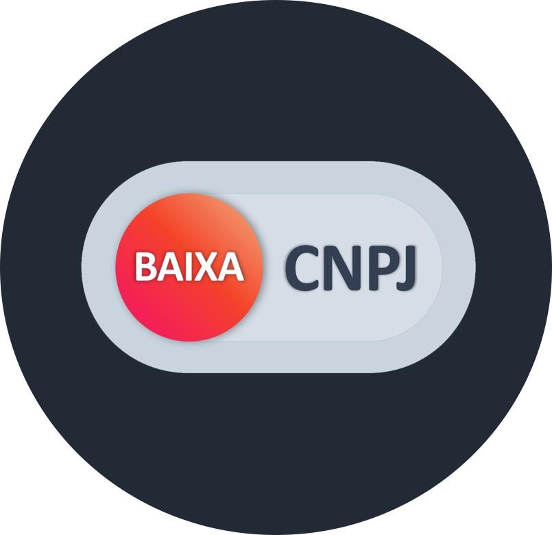 Foto do escritor: Baixa CNPJ