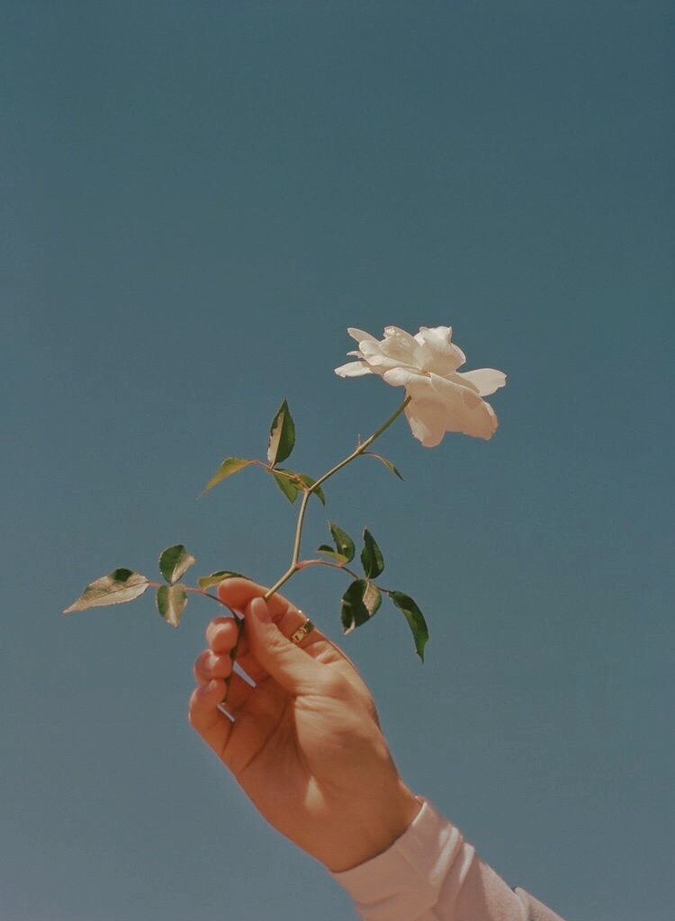 Writer: annikarobbe