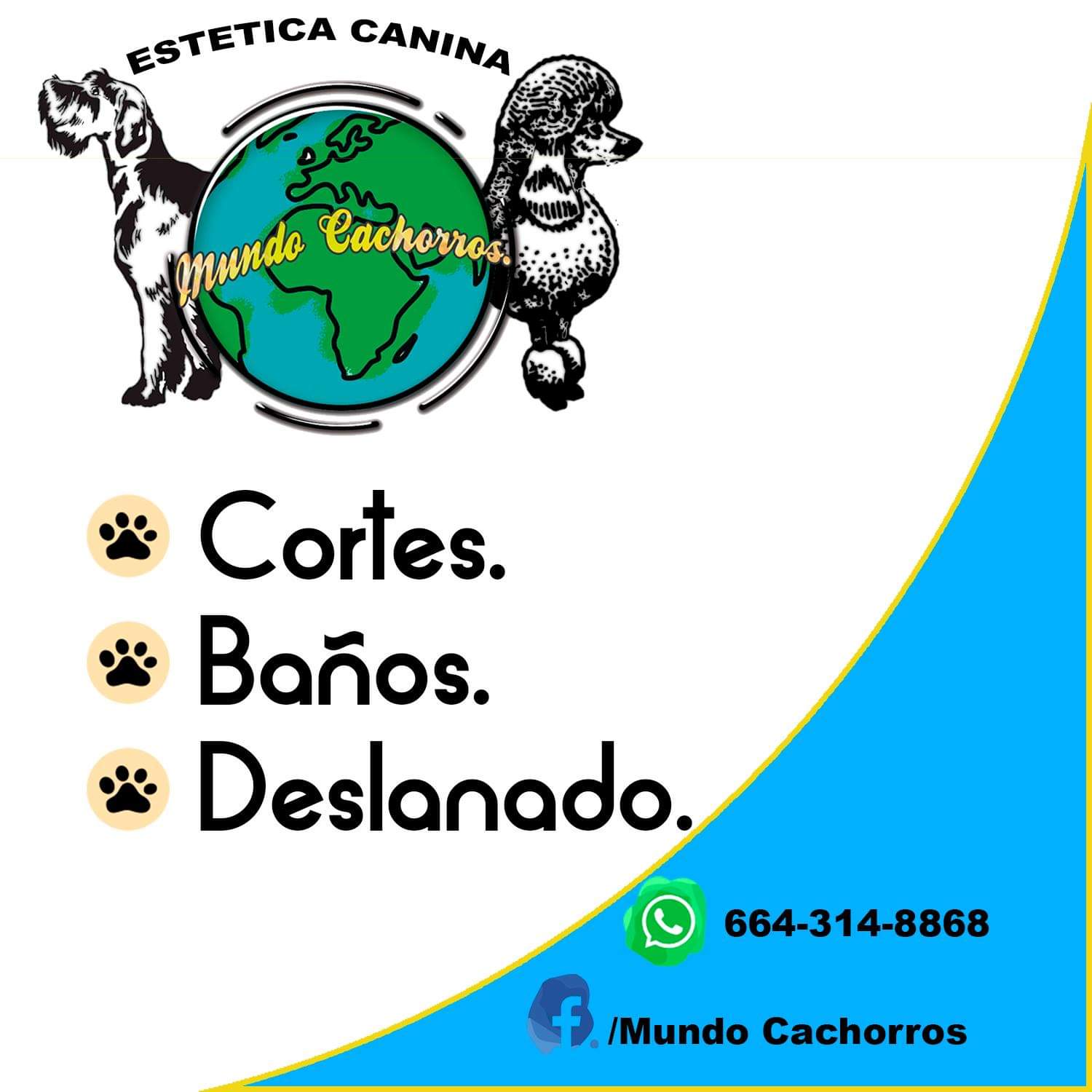 Foto del escritor: Mundo cachorros Estética canina a domicilio