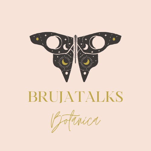 Writer: BrujaTalks Botánica