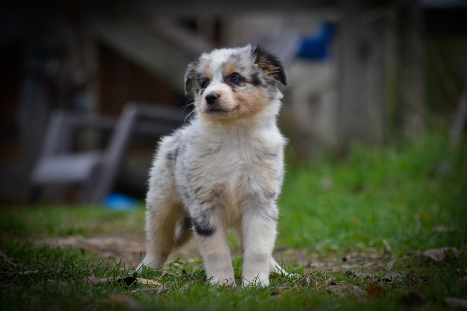 Photo du rédacteur: Sophie / Domaine Brownville